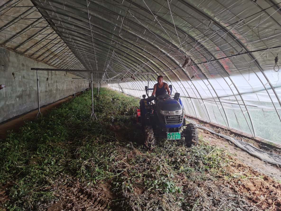 集成配套農(nóng)機(jī)裝備 助力春茬溫室蔬菜生產(chǎn)