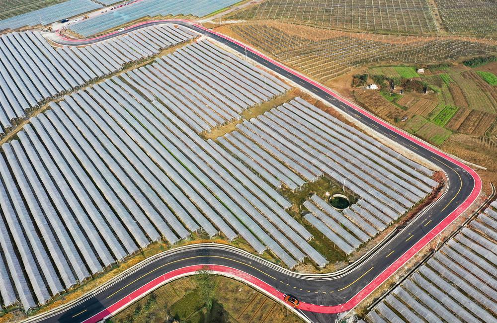 春耕在即莫要慌 種子挑好幫大忙