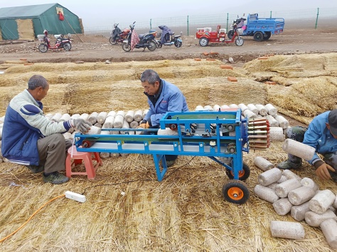  北京市農業(yè)專家提示黑木耳菌棒開口技術要點