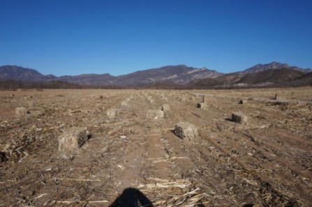 “延慶模式”帶頭生態(tài)振興——探索秸稈綜合利用