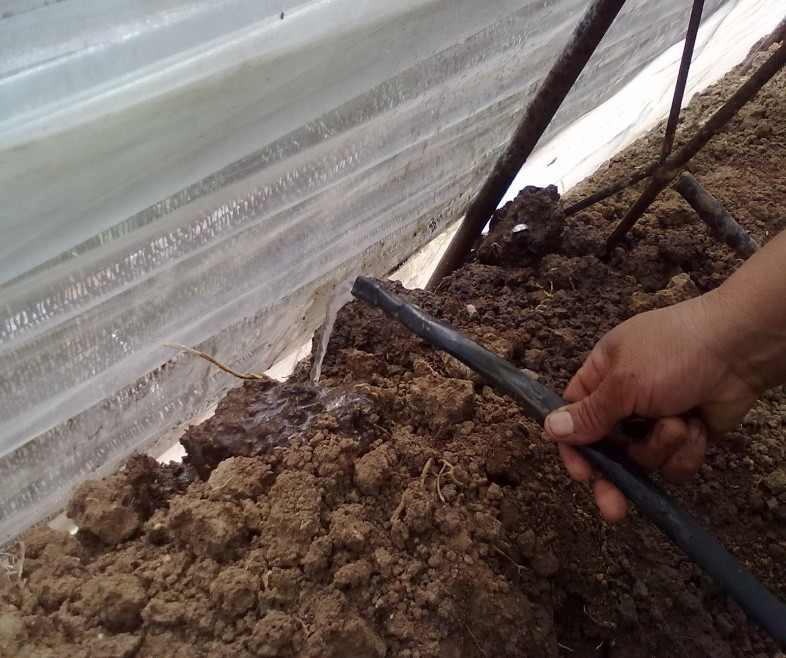 溫室滴灌設(shè)施 用心維護(hù)才能長久效力