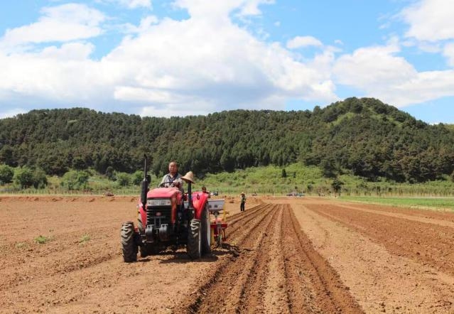 雜糧作物春播正當(dāng)時