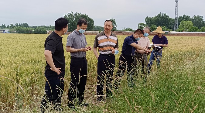 北京市農(nóng)業(yè)農(nóng)村局專家赴平谷指導(dǎo)農(nóng)業(yè)外來入侵物種普查工作