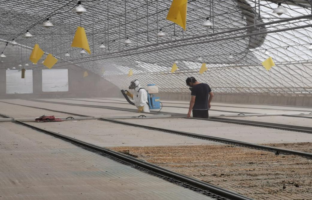 夏季育苗早準(zhǔn)備 棚室消毒正當(dāng)時