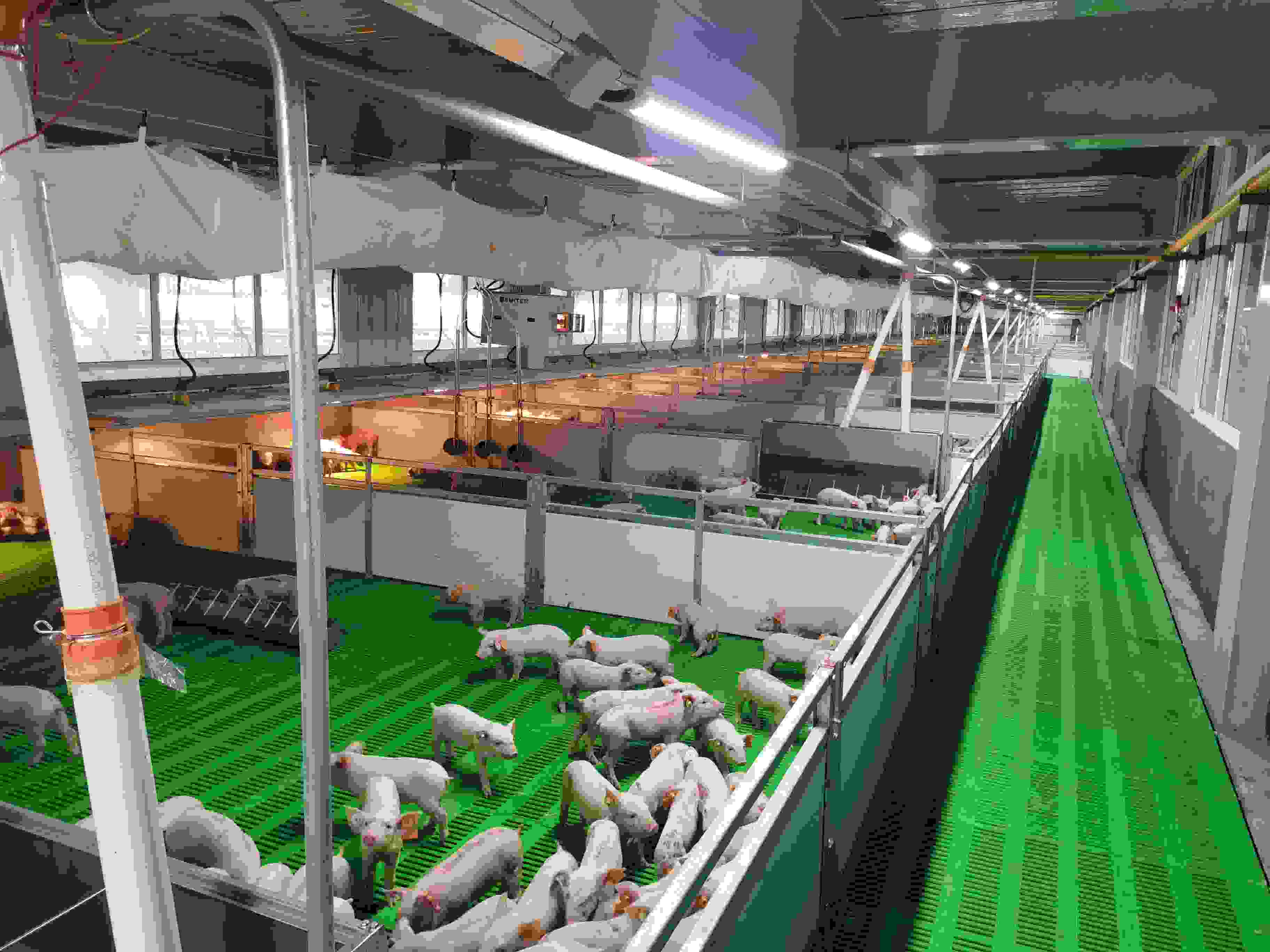 北京平谷區(qū)獲批鄉(xiāng)村振興重點(diǎn)工作“激勵縣”