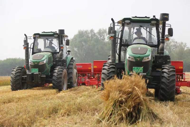 最是一年好“豐”景 北京市27萬畝小麥開鐮