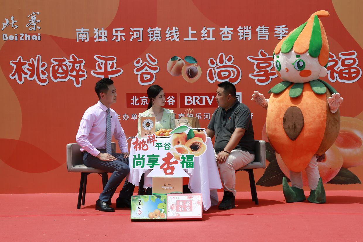 南獨(dú)樂河鎮(zhèn)第八屆休閑文化節(jié)暨線上紅杏銷售季在北寨村舉行