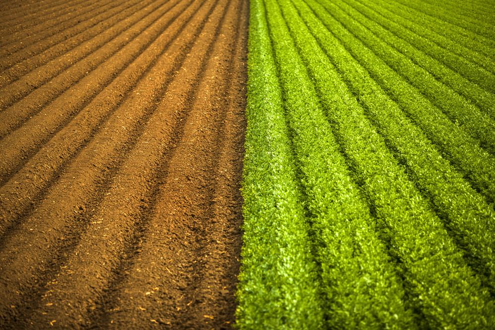 北京市部署開(kāi)展第三次全國(guó)土壤普查試點(diǎn)工作