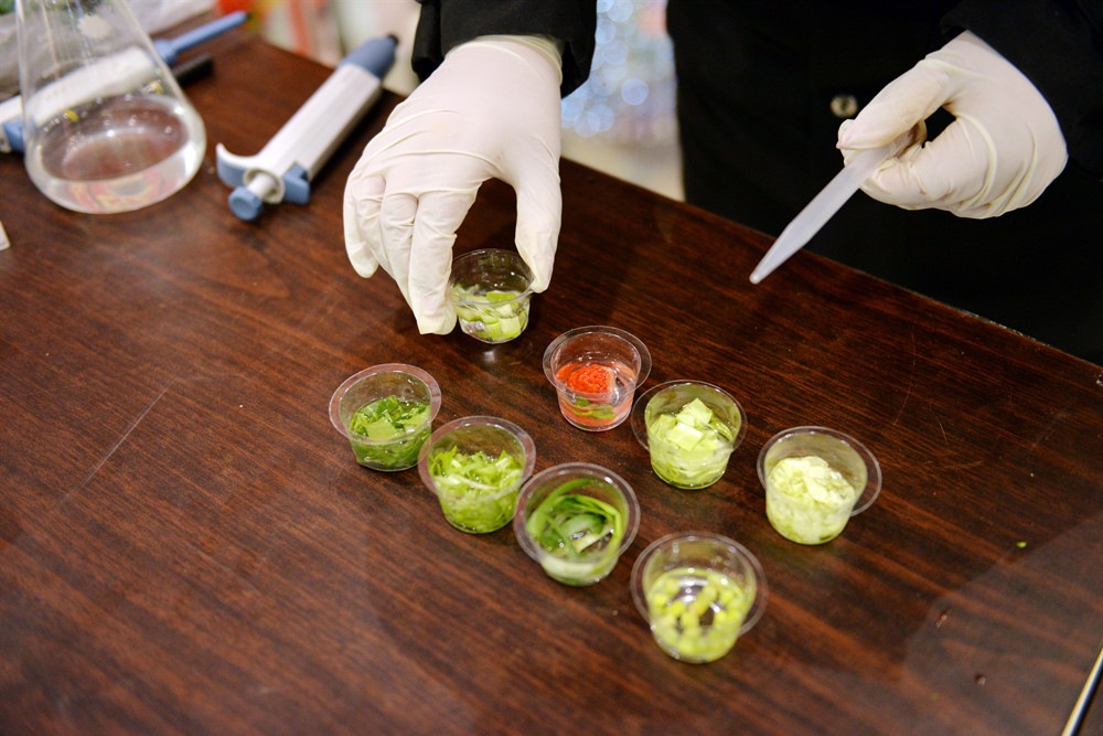 海淀區(qū)農(nóng)業(yè)農(nóng)村局被農(nóng)業(yè)農(nóng)村部命名為全國(guó)農(nóng)業(yè)綜合行政執(zhí)法示范單位