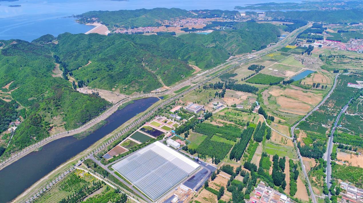 工廠化農(nóng)業(yè)新嘗試番茄也有身份證