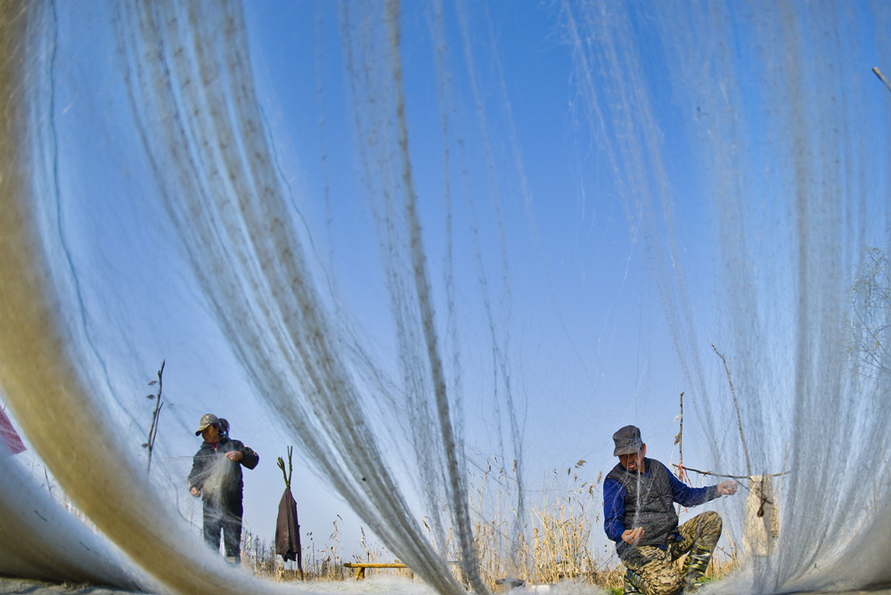 科技領(lǐng)航現(xiàn)代漁業(yè) 打造漁業(yè)數(shù)據(jù)樞紐