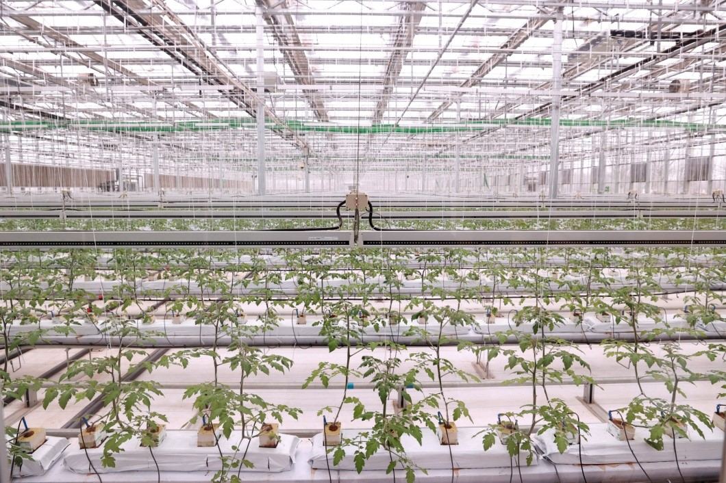 智慧農(nóng)業(yè)助力北京鄉(xiāng)村振興