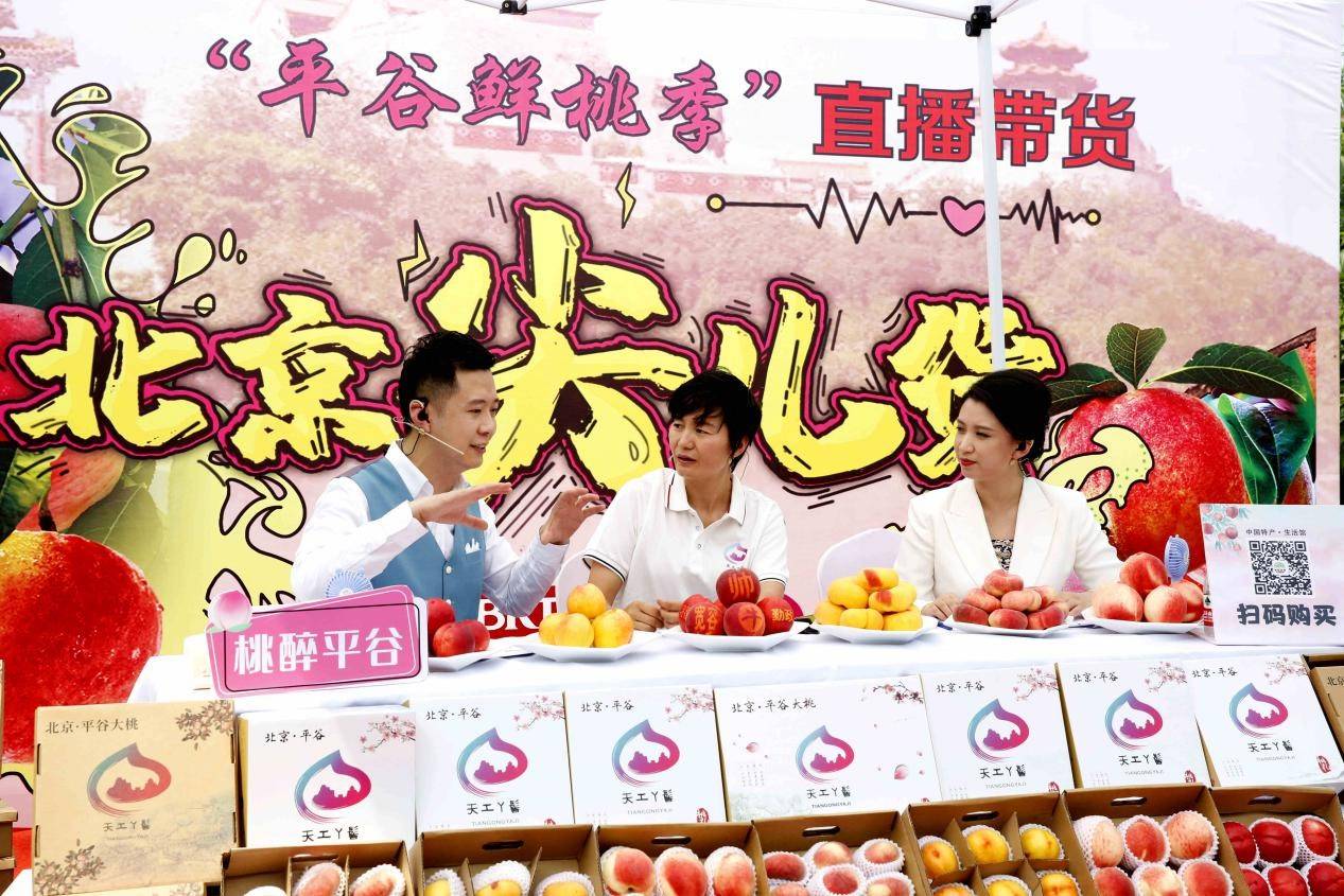 北京平谷區(qū)劉家店鎮(zhèn)：“云上服務(wù)”利百姓 “電商+大桃”致富經(jīng)