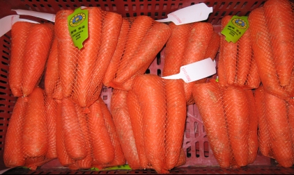 夏采胡蘿卜后 如何管理