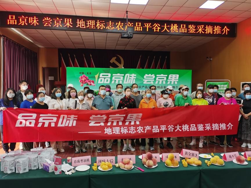 地理標(biāo)志農(nóng)產(chǎn)品平谷大桃品鑒采摘推介活動在京舉辦