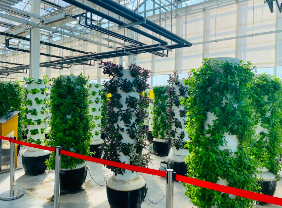 暢游智慧農(nóng)場 體驗智慧農(nóng)業(yè)