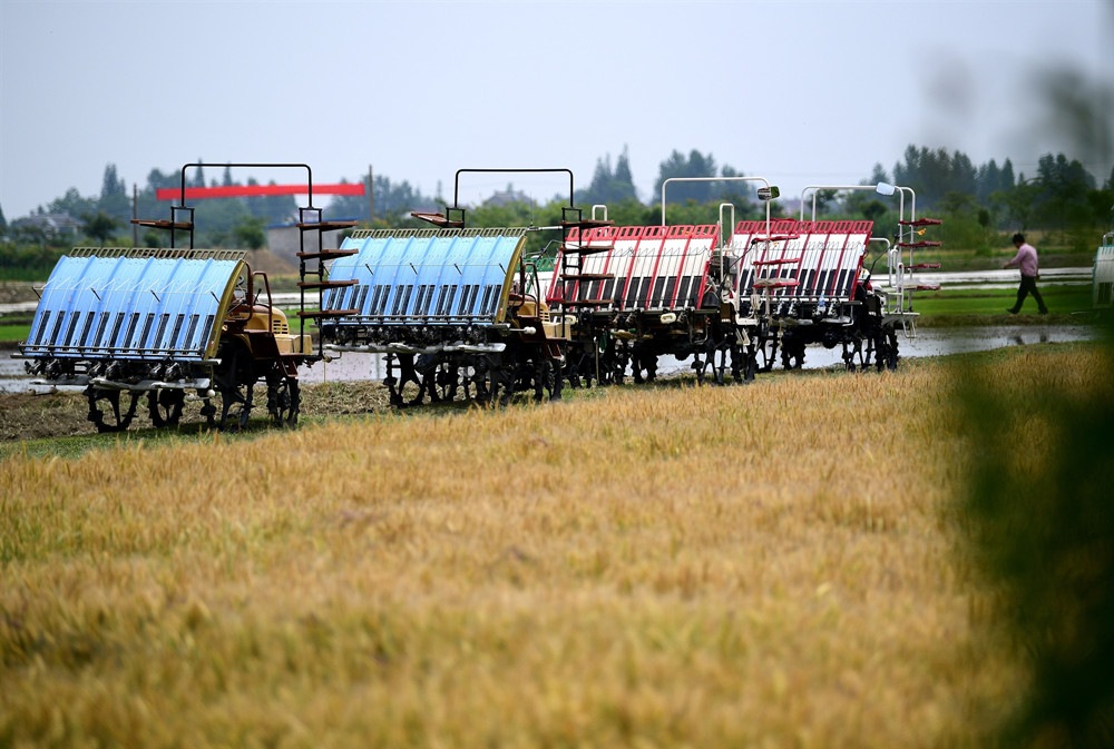 “三秋”農(nóng)機(jī)作業(yè)忙 安全要點(diǎn)要記牢