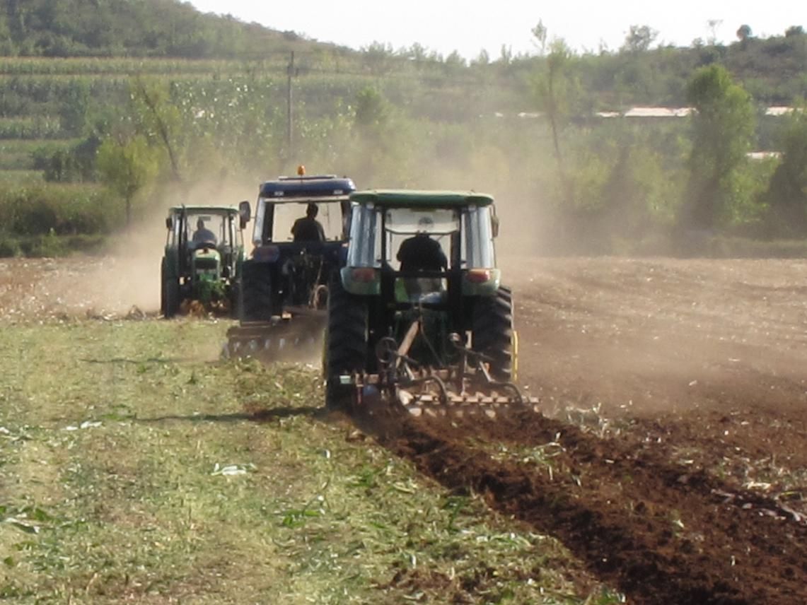 專家支招：2022年北京市小麥秋播七分種三分管