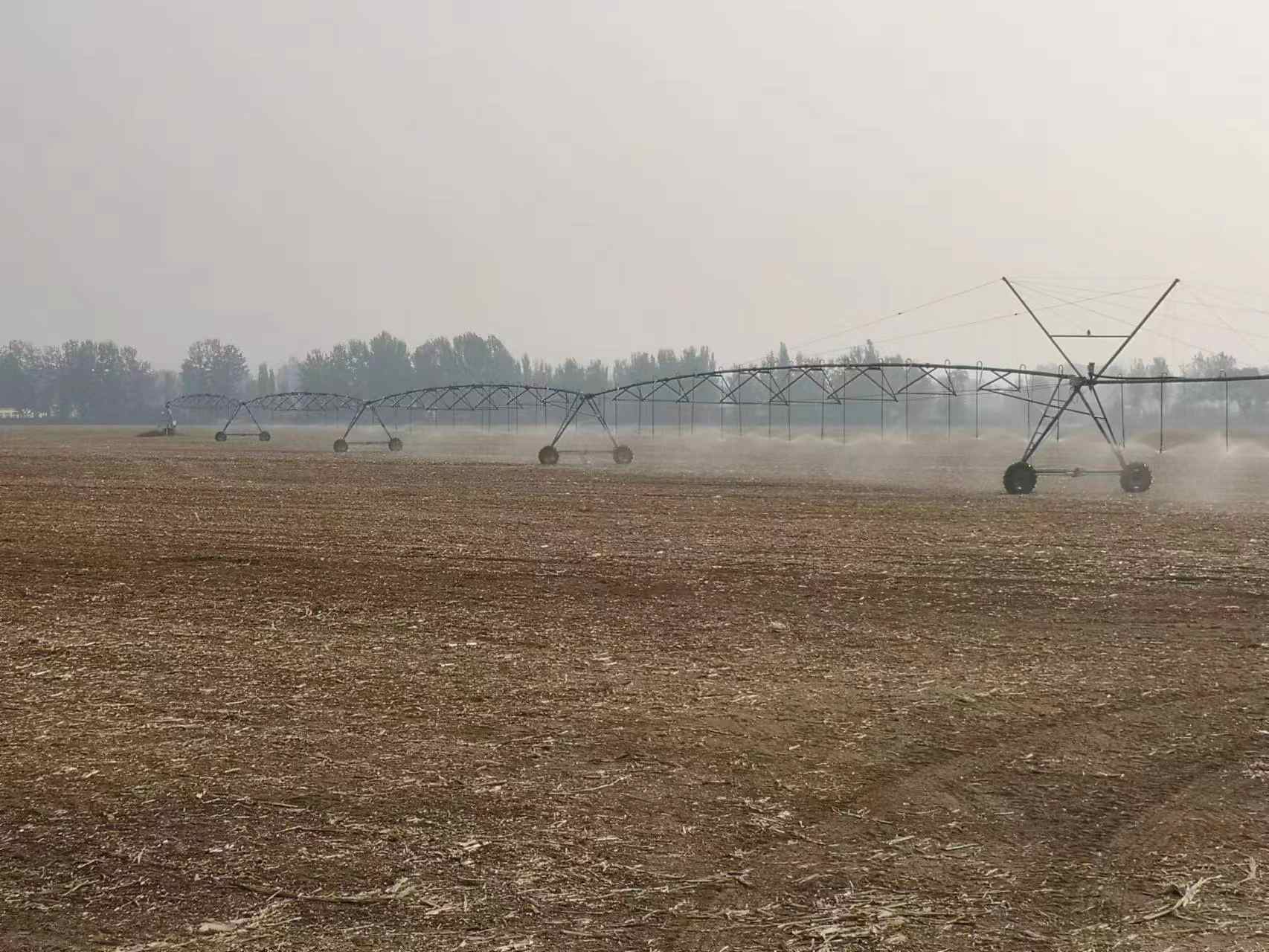 土壤濕度輕微不足 小麥如何實(shí)現(xiàn)一播全苗