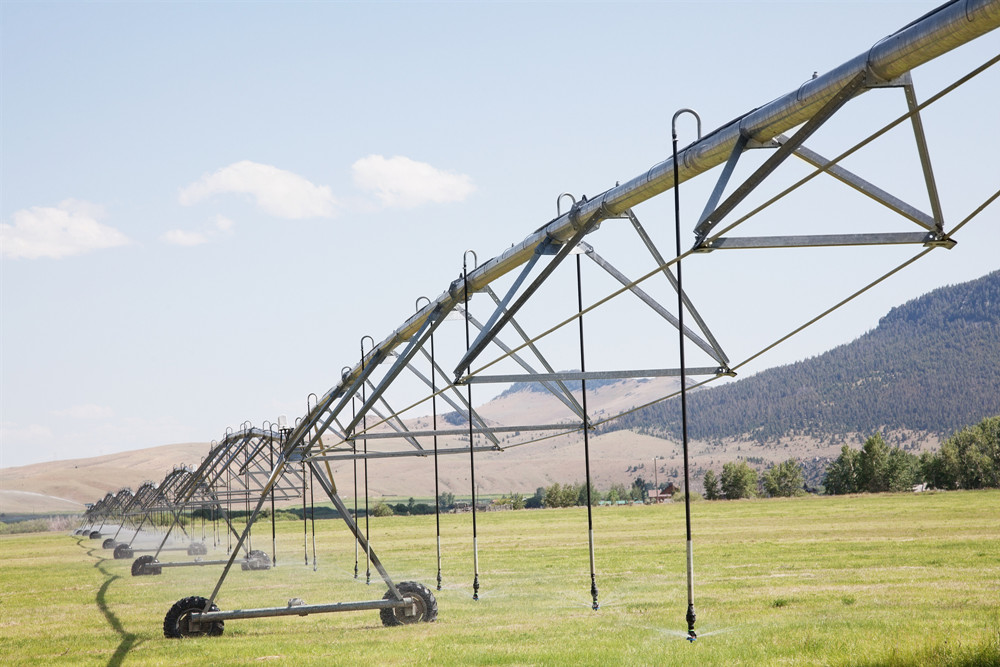 秋冬季農(nóng)業(yè)設(shè)施安全防范技術(shù)指導(dǎo)意見