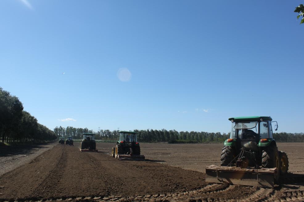 北京市農(nóng)業(yè)技術(shù)推廣站強化六項舉措 降低小麥晚播影響   