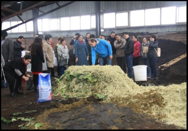 堆肥種類知多少