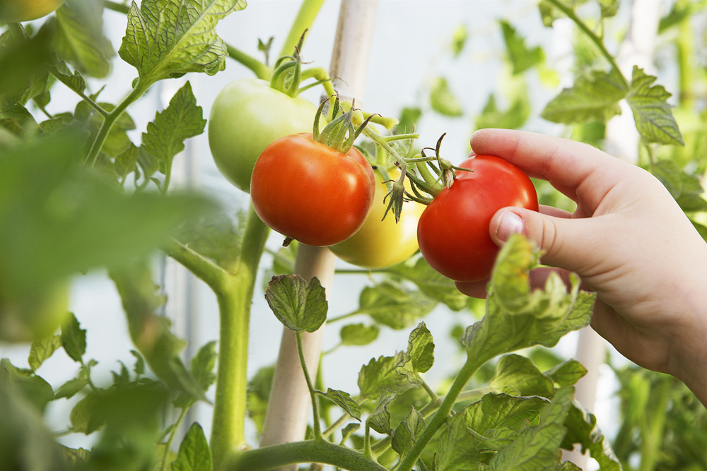 2022年中國美麗休閑鄉(xiāng)村新鮮出爐 北京又添四村