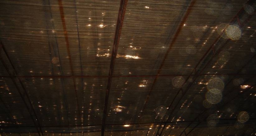 應(yīng)對大風(fēng)寒潮 北京市農(nóng)業(yè)農(nóng)村局發(fā)布最新提示