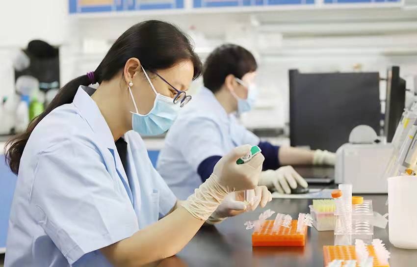 峪口禽業(yè)——?jiǎng)?chuàng)新開啟品牌強(qiáng)農(nóng)新時(shí)代