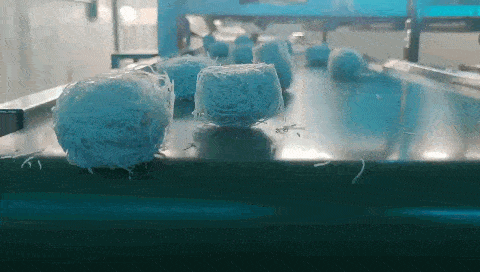 “京一根”——無(wú)明礬粉條的開拓者