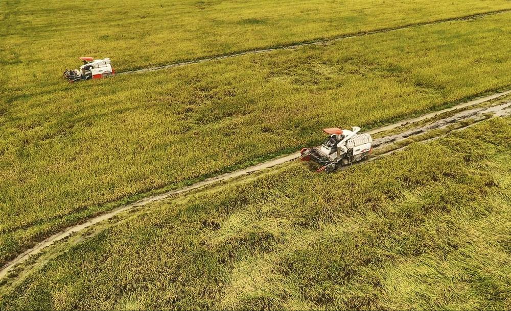 北京市門頭溝區(qū)、密云區(qū)入選全國(guó)休閑農(nóng)業(yè)重點(diǎn)縣