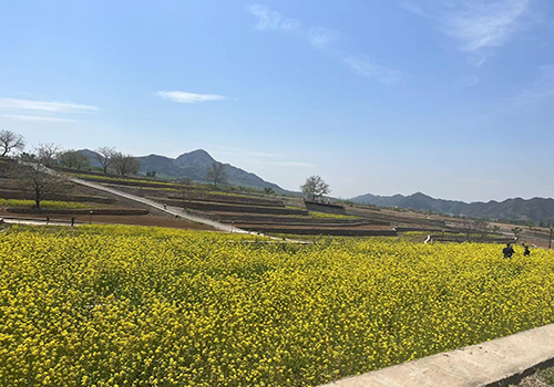 城鄉(xiāng)互融、月月有景——第十三屆北京農(nóng)田觀光季開季