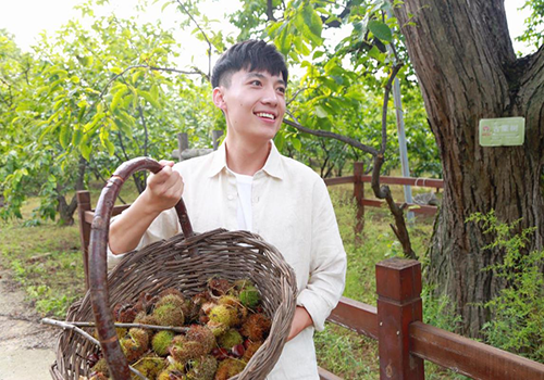 立業(yè)鄉(xiāng)村 絢若夏花