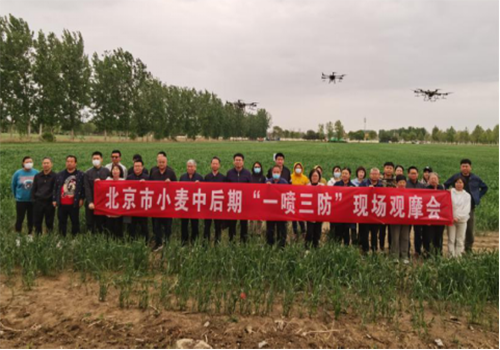 北京市小麥中后期“一噴三防”現(xiàn)場(chǎng)觀摩會(huì)在順義區(qū)召開(kāi)