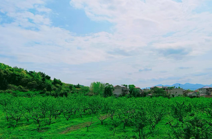 1713259526668469.png image.png