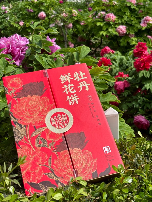 1713837483846233.png image.png