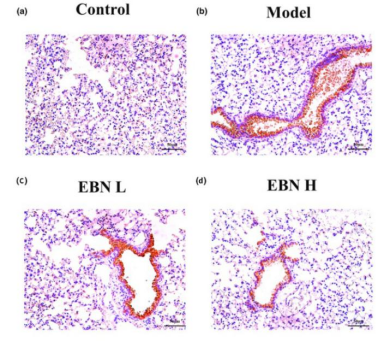 1713938598883931.png image.png